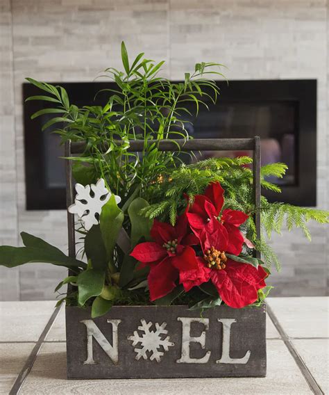 We have one of the top menus in the city. Christmas Poinsettias & Plants - Gainan's Flowers ...
