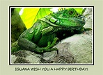 Iguana Happy Birthday Pale Green Border Photograph by David Ross - Fine ...