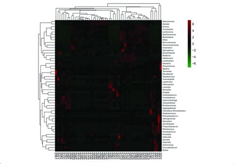 Heat Map Of The Relative Abundant Key Bacteria Genera The Color Download Scientific