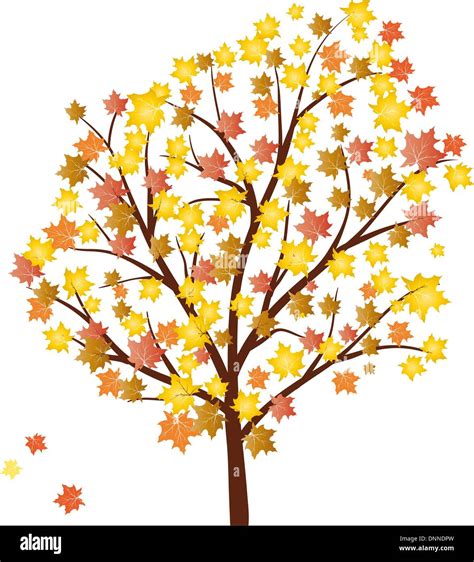 Autumn Maples Tree With Falling Leaves Vector Illustration Stock