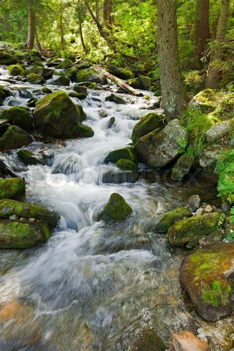 Mountain River Flowing At Summer Forest Landscape Stock
