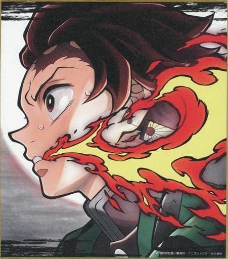 Tanjiro Bleach Anime Anime Dragon Ball Super Demon Hunter