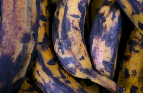 Ditch Those Rotten Bananas Heres How To Keep Them Fresh For Longer