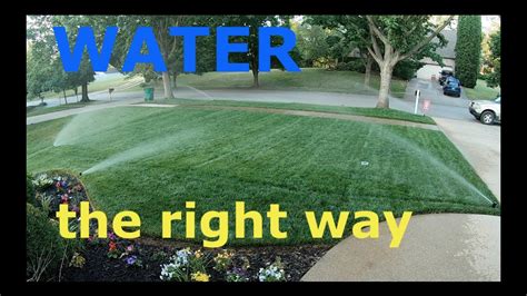 How To Water Lawn Properly Learn The Right Way To Water Your Lawn