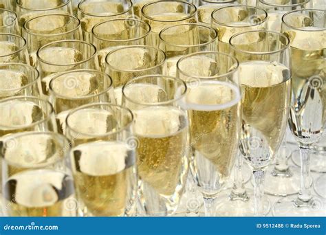 Champagne Stock Photo Image Of Sparkling Glass Drink 9512488