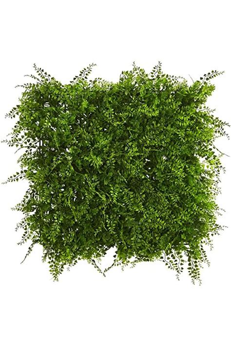 To ensure your shrub gets a good start, choose varieties that work in your usda hardiness zone. Amazon.com: Faux Greenery Outdoor Privacy Panel in 2020 ...