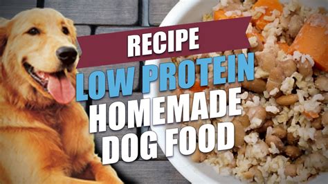 Low Protein Homemade Dog Food Recipe Cheap And Healthy Youtube
