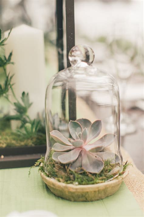 16 Creative Ways To Use Cloches Throughout Your Wedding Succulent