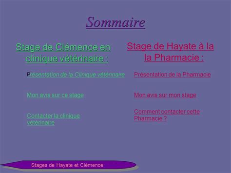 Exemple De Rapport De Stage En Pharmacie 3eme Le Meilleur Exemple