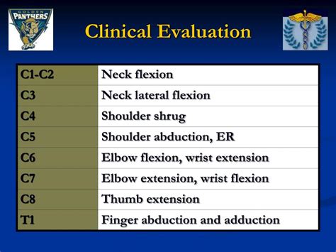 Ppt Cervical Spine Pathologies And Special Tests Powerpoint