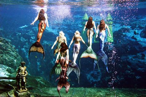 Mermaids To Return To South Carolina Aquarium Business