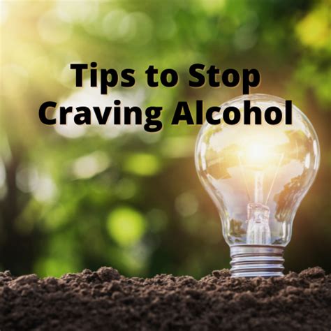 Stop Craving Alcohol Tips For Today And Around The Holidays