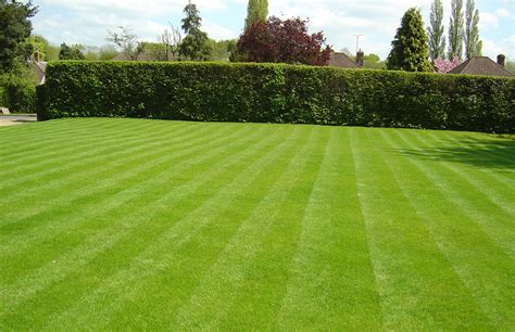 This page offers a quick way to review each page of our site. Lawn Care | VERTOPIA GARDENS