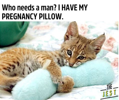 Funny Pregnant Cat Meme Pregnancy Pillow The Jest