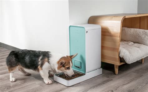 Petsafe healthy pet simply feed. The Best Smart Pet Feeders - Techlicious