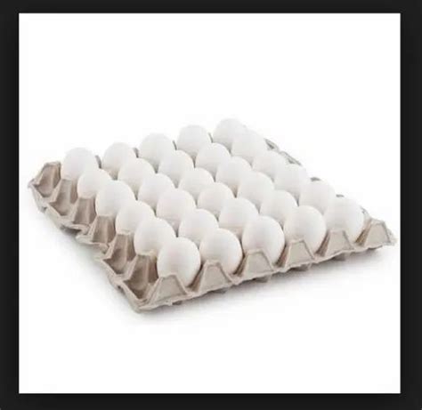 Jmdp White 30 Egg Paper Pulp Trays At Rs 220bundle In Yamuna Nagar