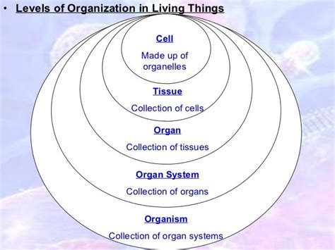 Biology Of Cells Notes