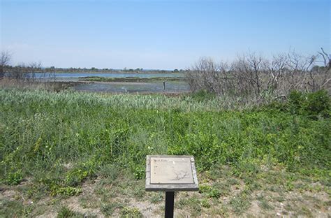 Jamaica bay wildlife refuge is a wildlife refuge in new york city managed by the national park service as part of gateway national recreation area. How to Navigate Jamaica Bay Wildlife Refuge - NYMetroParents