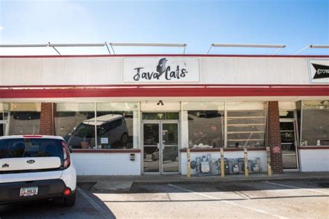 Welcome to java cats in amherstburg, ontario! Java Cats Cafe Is A Completely Cat-Themed Catopia Of A ...