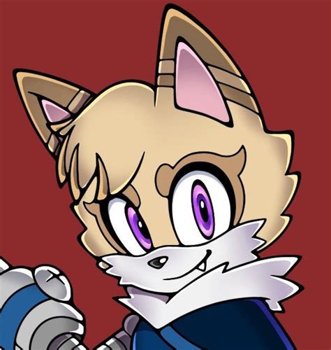 felix the fox wiki sonic the hedgehog art amino