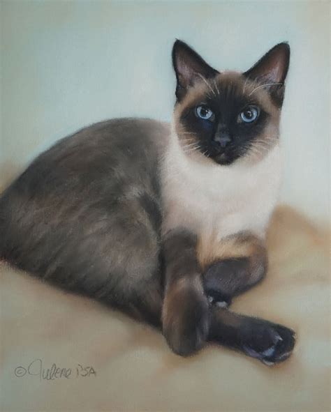 Siamese Cat Art Siamese T Siamese Cat Lover Siamese Etsy Siamese