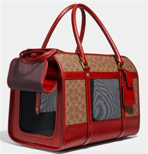 16 Most Popular Fashionable And Luxury Designer Dog Carriers And Bags