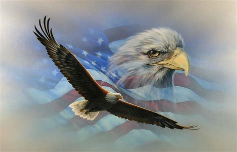 American Flag Soaring Bald Eaglewall Rv Motorhome Or