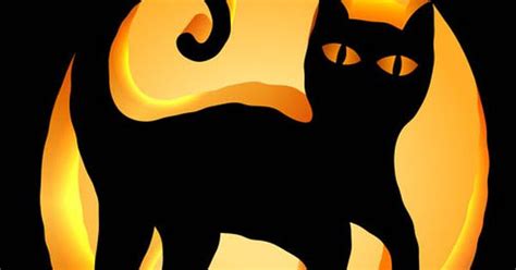 Black Cat Pumpkin Carving Stencil Download Free Template Pumpkin