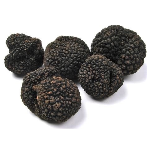 Fresh Black Winter Perigord Truffles