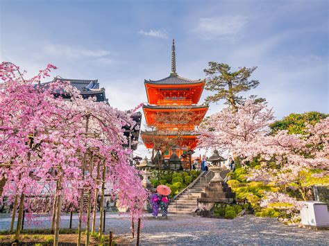 Images Gratuites Tokyo Point De Repère Printemps Fleur De Cerisier