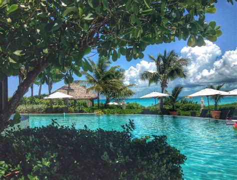 Pool Paradise Stock Photo Image Of Perfect Relax Bahamas 45449144