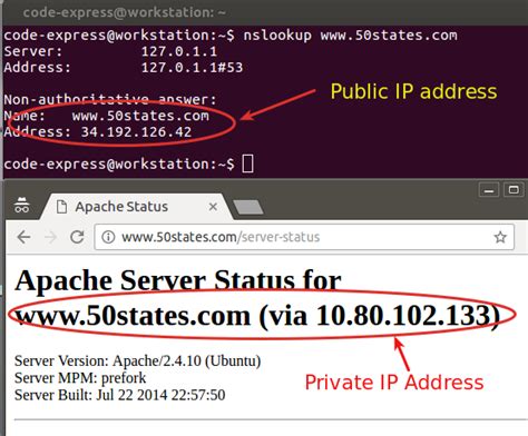 Cómo encontrar la IP real del sitio web detrás del proxy inverso LaSeguridad