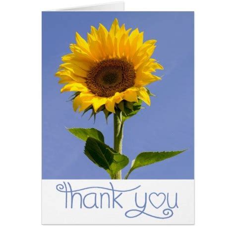 Thank You Yellow Sunflower Floral Blue Notecard Yellow