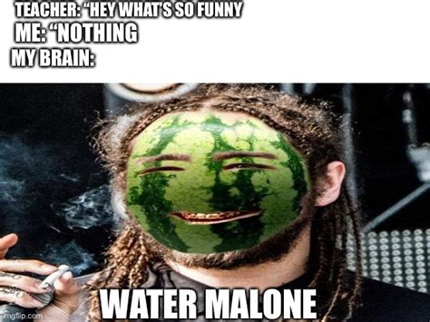 Water Malone Imgflip