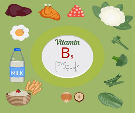 10 Alimentos Más Ricos En Vitamina B5 O Ácido Pantoténico