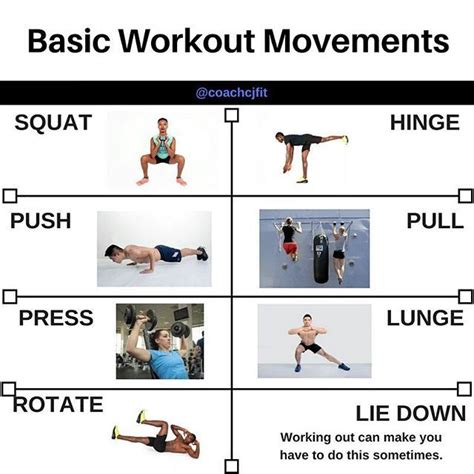 Basic Workout Movements People In The Fitness Industry All Have