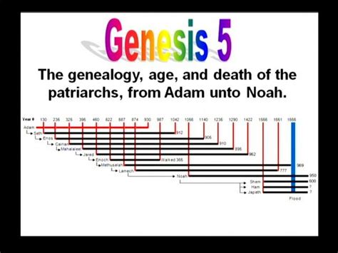 Prophecy Meaning Of Names In First Generation From Adam