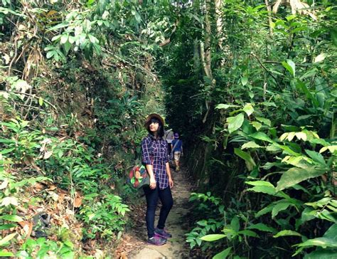 It gets its name from the macaques that hunt for crabs along the beach! CLUELESS: Hiking @ Penang National Park (Taman Negara ...