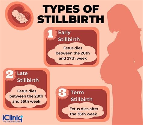 Stillbirth Types Causes Diagnosis Prevention