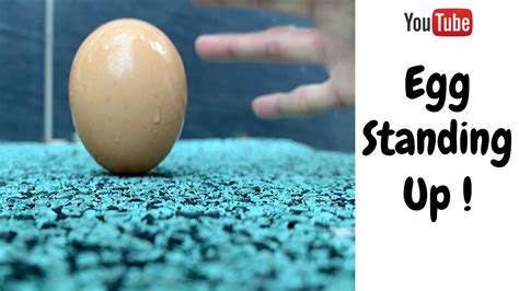 Li Chun Egg Stand Li Chun 2020 立春立蛋｜立春2020 How To Make An Egg