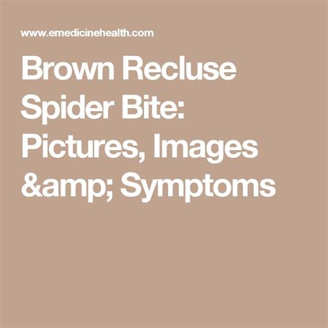 Brown Recluse Images Bites