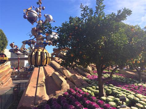 Photo Gallery Disneyland Cultivating The Magic Tour Part 2
