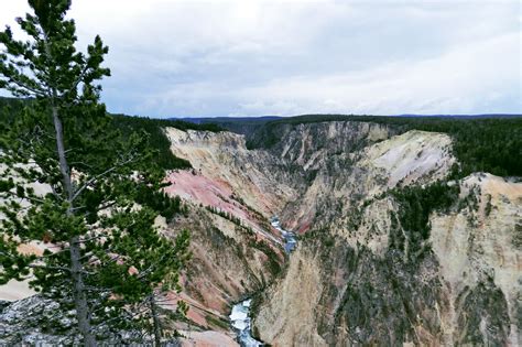 Fotos Del Parque Nacional De Yellowstone Estados Unidos