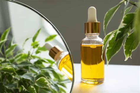 The 10 Best Vitamin E Oils In 2022 Beauty Mag