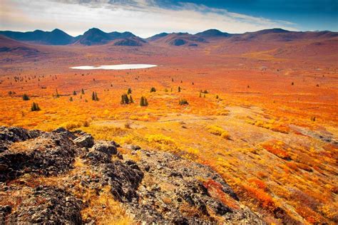 The Tundra Yukon Canada