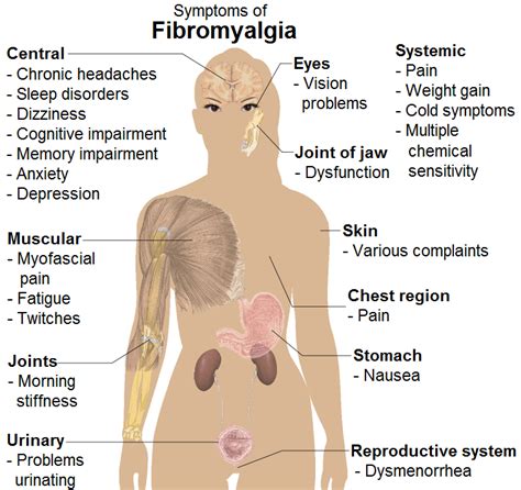 Fibromyalgia Diagnosis Causes Treatment And A Lot More