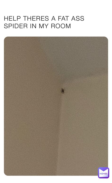 Help Theres A Fat Ass Spider In My Room Asxukii Memes