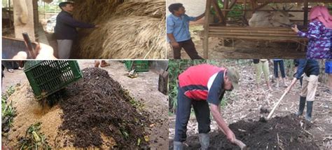 Pemanfaatan Limbah Kotoran Ternak Sapi Sebagai Sumber Pupuk Organik Ramah Lingkungan Dinas