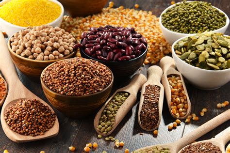 The Top 5 Plant Based Proteins You Need To Add To Your Diet Biotrust