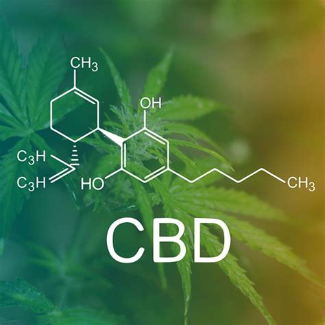 What Is Cbd Cannabidiol How It Works For Our Body By Draxe Cbd